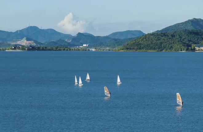 手机遭遇"油煎"：8000元手机掉进油锅的悲喜人生